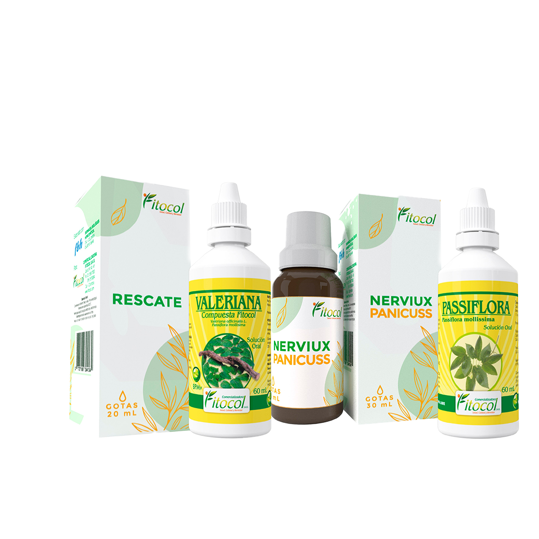 Kit Sistema Nervioso