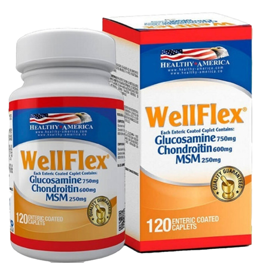 WELLFLEX (GLUCOSAMINA + CHONDRO)