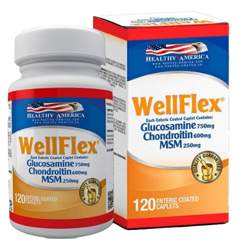 WELLFLEX (GLUCOSAMINA + CHONDRO)