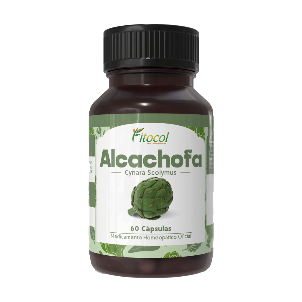 Alcachofa