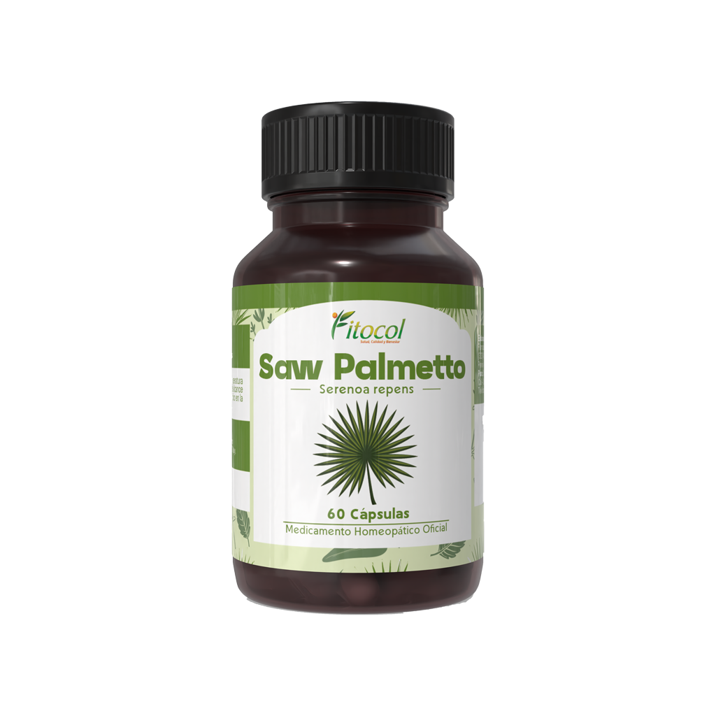 Saw Palmetto