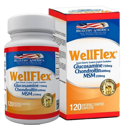 WELLFLEX (GLUCOSAMINA + CHONDRO)