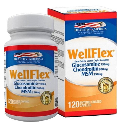 WELLFLEX (GLUCOSAMINA + CHONDRO)