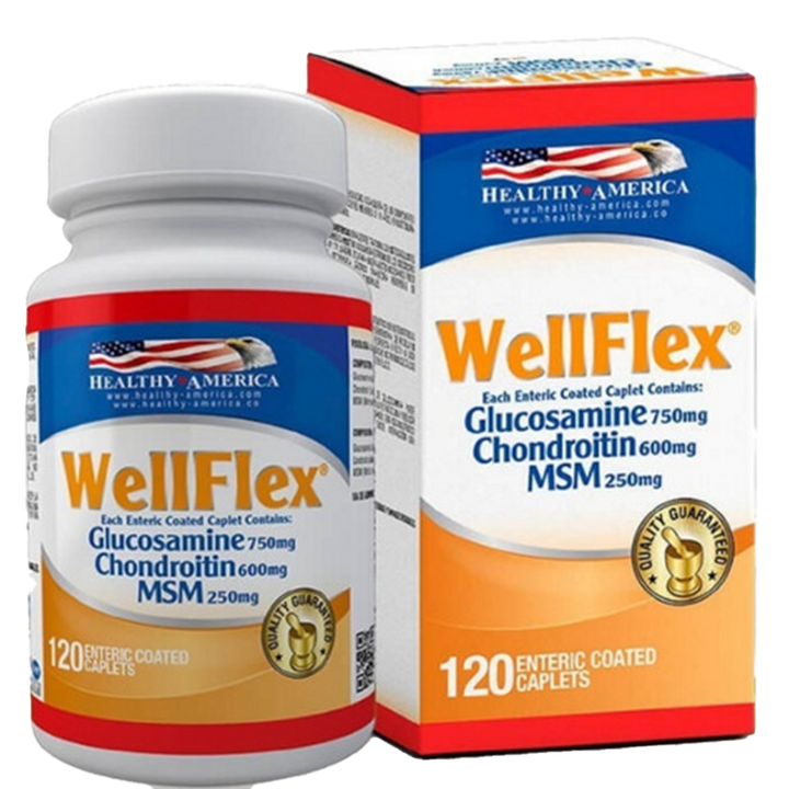 WELLFLEX (GLUCOSAMINA + CHONDRO)